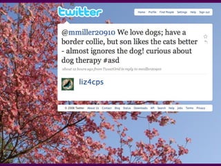 Tweet @liz4cps We love dogs; have a border collie, but son likes the cats better - almost ignores the dog! curious about dog therapy 