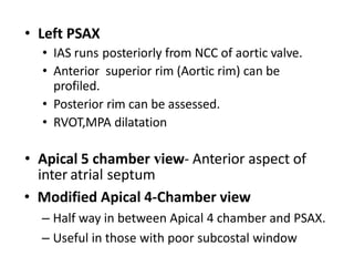 ASD ECHO ASSESSMENT renewed slideshow.pptx