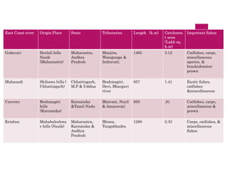 East Coast river Origin Place State Tributaries Length (k.m) Catchmen
t area
(Lakh sq.
k.m)
Important fishes
Godavari Deolali hills
Nasik
(Maharastra)
Maharastra,
Andhra
Pradesh
Manjira,
Waingunga &
Indravati.
1465 3.12 Catfishes, carps,
miscellaneous
species, &
brackishwater
prawn
Mahanadi Shihawa hills (
Chhattisgarh)
Chhattisgarh,
M.P & Uddisa
Brahmagiri,
Devi, Bhargavi
river
857 1.41 Exotic fishes,
catfishes
&miscellaneous
Cauvery Brahmagiri
hills
(Karnataka)
Karnataka
&Tamil Nadu
Bhavani, Noyil
& Amaravati
850 .81 Catfishes, carps,
miscellaneous &
prawn
Krishna Mahabaleshwa
r hills (Nasik)
Maharastra,
Karnataka &
Andhra
Pradesh
Bhima,
Tungabhadra
1280 2.33 Carps, catfishes, &
miscellaneous
fishes
 