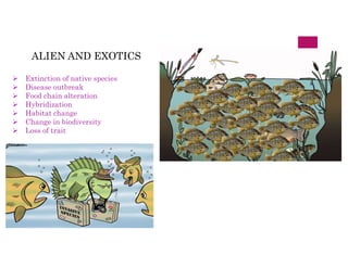 ALIEN AND EXOTICS
 Extinction of native species
 Disease outbreak
 Food chain alteration
 Hybridization
 Habitat change
 Change in biodiversity
 Loss of trait
 