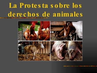 La Protesta sobre los derechos de animales 