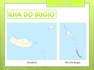 Madeira

Ilha Do Bugio

 