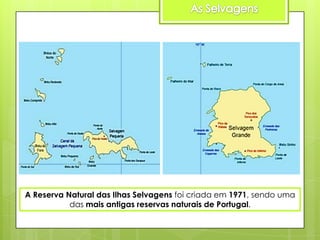 A Reserva Natural das Ilhas Selvagens foi criada em 1971, sendo uma
das mais antigas reservas naturais de Portugal.

 