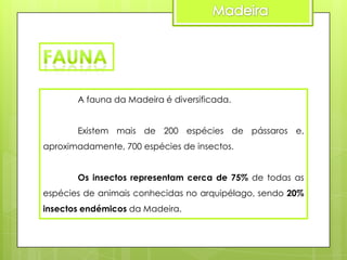 A fauna da Madeira é diversificada.

Existem mais de 200 espécies de pássaros e,
aproximadamente, 700 espécies de insectos.
Os insectos representam cerca de 75% de todas as

espécies de animais conhecidas no arquipélago, sendo 20%
insectos endémicos da Madeira.

 