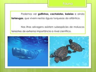 Podemos ver golfinhos, cachalotes, baleias e ainda
tartarugas, que vivem nestas águas turquesas do atlântico.

Nas ilhas selvagens existem subespécies de moluscos
terrestres de extrema importância a nível científico.

 