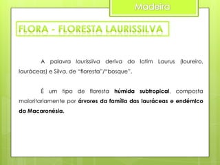 A palavra laurissilva deriva do latim Laurus (loureiro,
lauráceas) e Silva, de “floresta”/“bosque”.
É um tipo de floresta húmida subtropical, composta
maioritariamente por árvores da família das lauráceas e endémico
da Macaronésia.

 