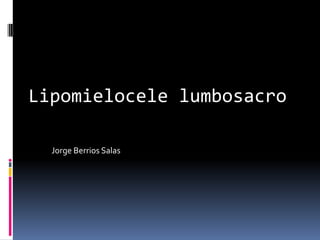 Jorge Berrios Salas
Lipomielocele lumbosacro
 