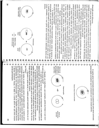 As dimensões e os extraterrestres