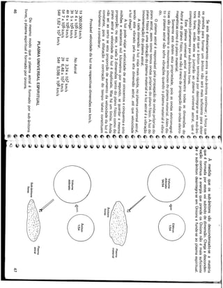 As dimensões e os extraterrestres