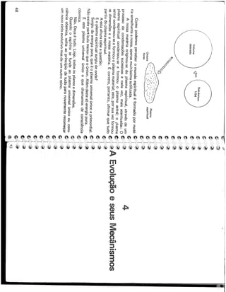 As dimensões e os extraterrestres