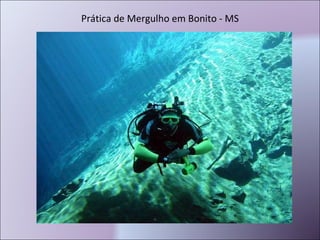 Prática de Mergulho em Bonito - MS 