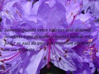 Somente quando vence todos os seus demônios  interiores é que descobre o quanto foi tolo em podar as asas do anjo que teimavam em nascer em seu Espírito.  