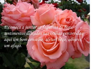 E começa a juntar as fagulhas de bons sentimentos deixados nas trilhas percorridas; aqui um bom conselho; ali um beijo, alhures um afago.  