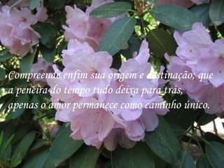 Compreende enfim sua origem e destinação; que a peneira do tempo tudo deixa para trás, apenas o amor permanece como caminho único. 