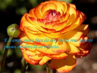 E o amor, outra face da dor, inicia seus seguros passos em direção ao infinito.  