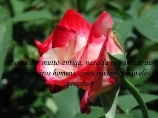 É uma dor muito antiga, nascida nos ancestrais dos primeiros homens, cujos modernos são eles próprios. 