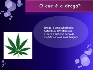       O que é a droga?<br />   Droga  é uma substância, natural ou sintética que afecta o sistema nervoso modificando as s...