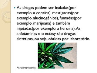    As drogas podem ser inaladas(por
    exemplo, a cocaína), mastigadas(por
    exemplo, alucinogénios), fumadas(por
    exemplo, marijuana) e também
    injetadas(por exemplo, a heroína). As
    anfetaminas e o ectasy são drogas
    sintéticas, ou seja, obtidas por laboratório.




    Marijuana(maconha)
 