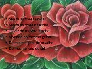 São duas flores unidasSão duas rosas nascidas,Talvez do mesmo arrebolVivendo no mesmo galhoDa mesma gota de orvalhoDo mesmo raio de sol