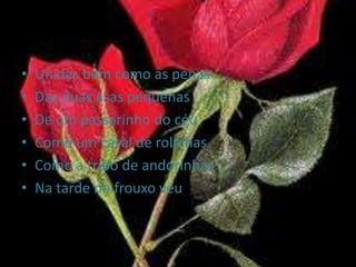 Unidas bem como as penasDas duas asas pequenasDe um passarinho do céuComo um casal de rolinhasComo a tribo de andorinhasNa tarde no frouxo véu