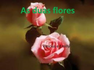 As duas flores  Vinicius e Emilly 