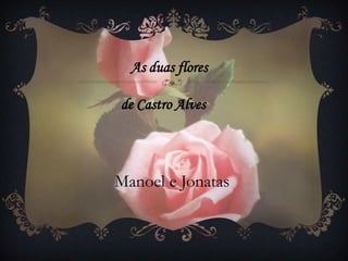   As duas flores  de Castro Alves Manoel e Jonatas 