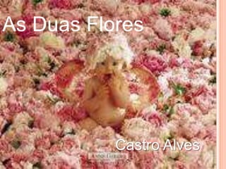 As Duas Flores Castro Alves 