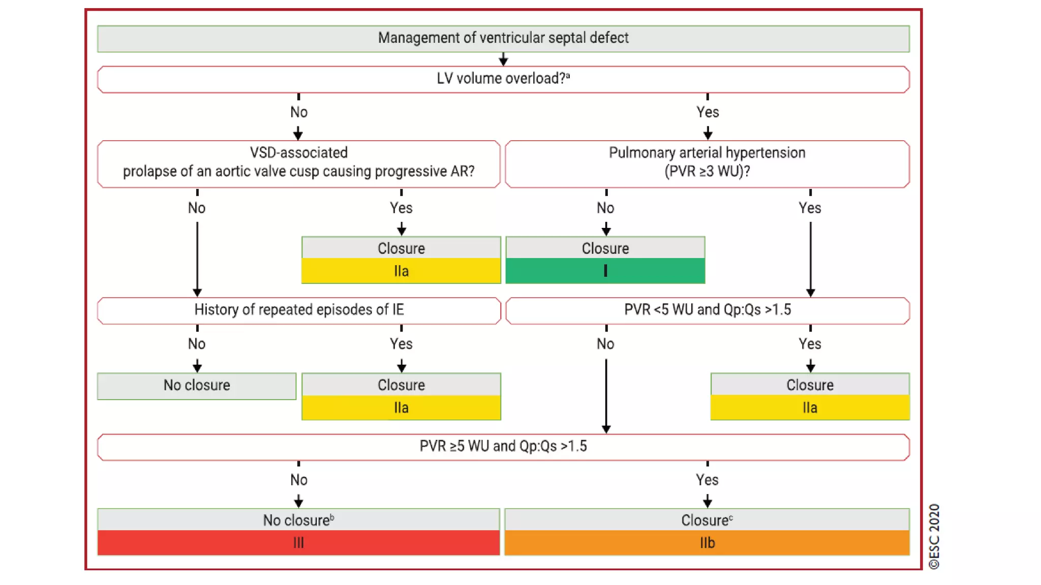Vsd Management Atrial Septal Defects, Ventricular septal defects Assessment ...