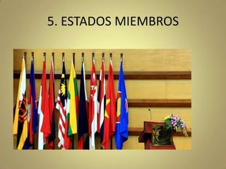 5. ESTADOS MIEMBROS
 