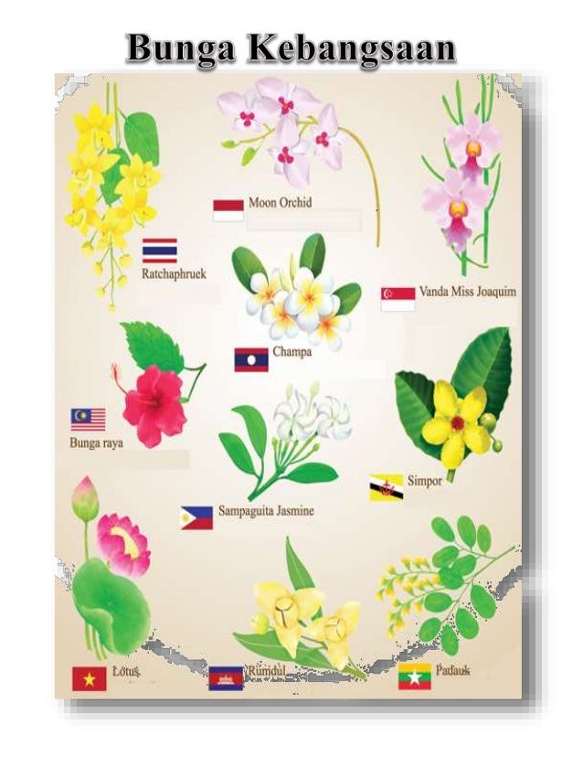 Fantastis 11+ Gambar Bunga Nasional Negara Asean - Gambar ...