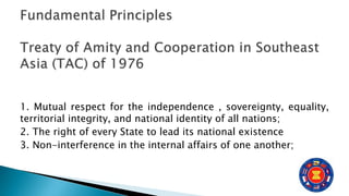 1. Mutual respect for the independence , sovereignty, equality,
territorial integrity, and national identity of all nations;
2. The right of every State to lead its national existence
3. Non-interference in the internal affairs of one another;
 