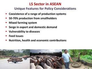 Livestock: A crucial livelihood and nutrition asset for Southeast Asia