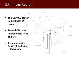 Livestock: A crucial livelihood and nutrition asset for Southeast Asia