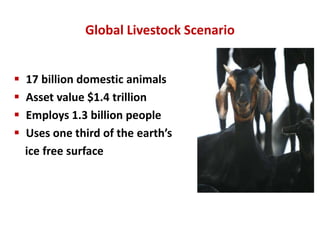 Livestock: A crucial livelihood and nutrition asset for Southeast Asia