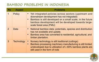 ASEAN_Muhammad Firman_Latest Bamboo Developments in Indonesia | PDF