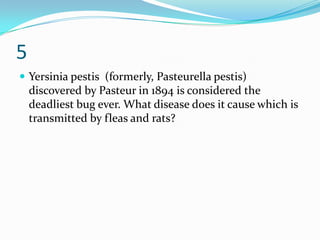 5
 Yersinia pestis (formerly, Pasteurella pestis)
    discovered by Pasteur in 1894 is considered the
    deadliest bug ever. What disease does it cause which is
    transmitted by fleas and rats?
 