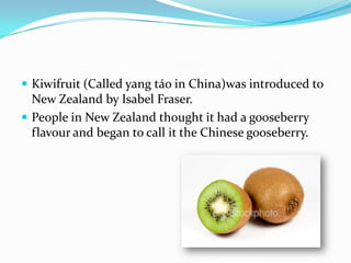  Kiwifruit (Called yang táo in China)was introduced to
  New Zealand by Isabel Fraser.
 People in New Zealand thought it had a gooseberry
  flavour and began to call it the Chinese gooseberry.
 