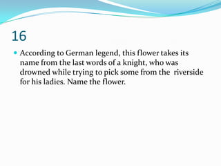 16
 According to German legend, this flower takes its
 name from the last words of a knight, who was
 drowned while trying to pick some from the riverside
 for his ladies. Name the flower.
 