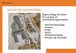 SENTER FOR HUSDYRFORSØK
Dagens anlegg må flyttes
for å gi plass til
samlokaliseringsprosjektet.
•
•
•
•
•
•

Administrasjonsbygg
Grisehus
Småfe
Storfe
Stoffskifteavdeling
Garasjer og verksteder

 