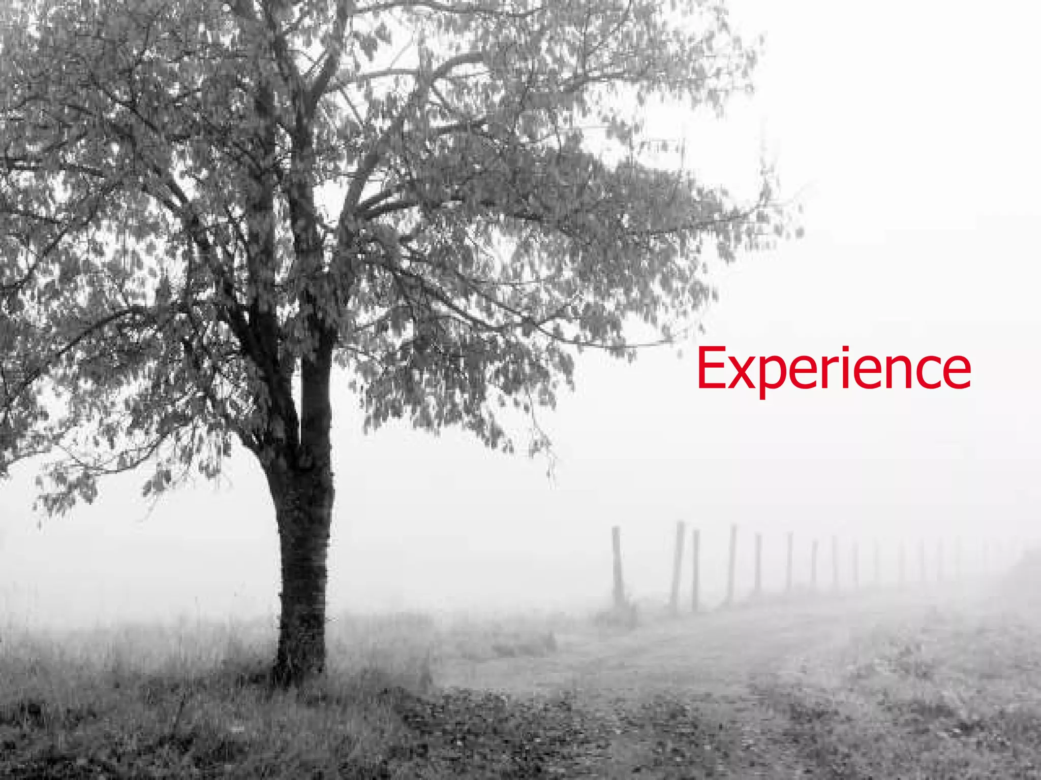 Experience