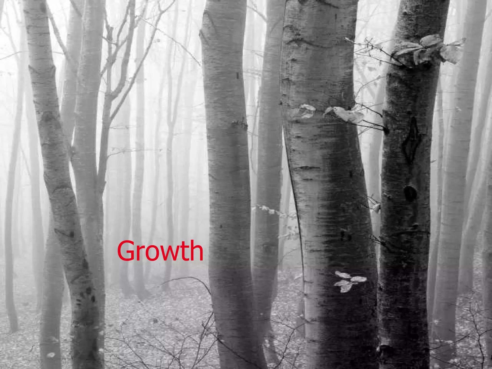 Growth