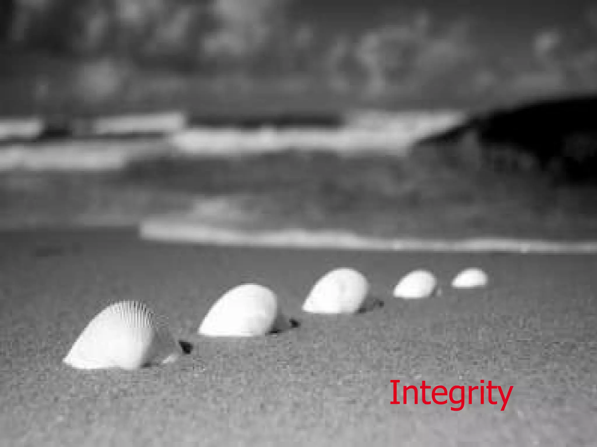 Integrity