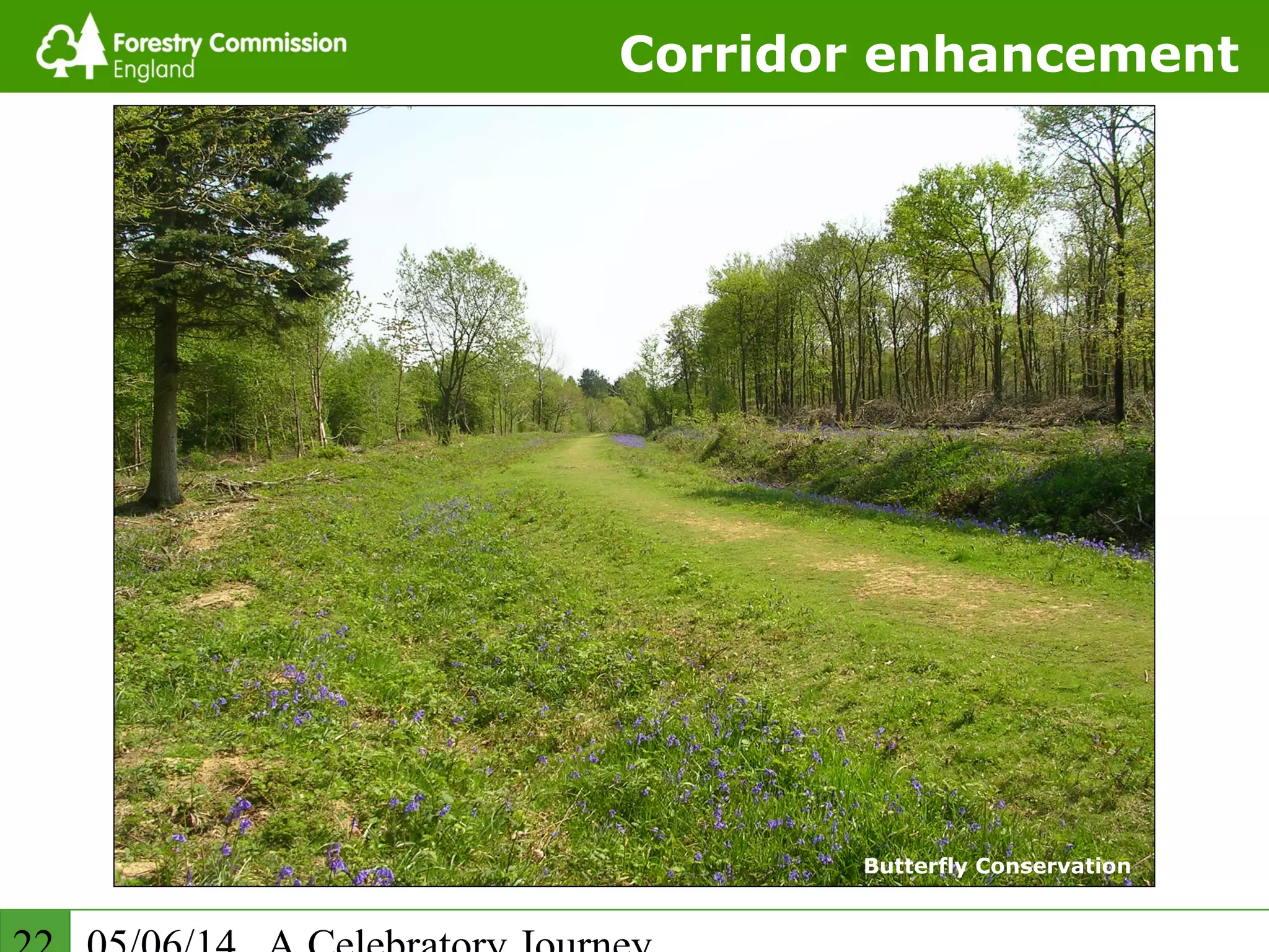 Corridor enhancement
Butterfly Conservation
 