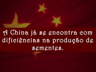 A China jà se encontra com
dificiências na produção de
sementes.
 