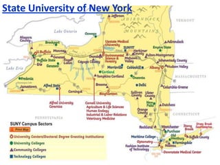 Real-World Course and Capstone Projects