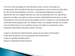 8 ) As três cores de pelagem de cães labradores (preta, marrom e dourada) são 
condicionadas pela interação de dois genes autossômicos, cada um deles com dois alelos: 
Ee e Bb. Os cães homozigóticos recessivos e não depositam pigmentos nos pêlos e 
apresentam, por isso, pelagem dourada. Já os cães com genótipos EE ou Ee, apresentam 
pigmento nos pêlos, que pode ser preto ou marrom, dependendo do outro gene: os cães 
homozigóticos recessivos bb apresentam pelagem marrom, enquanto os com genótipos BB 
ou Bb apresentam pelagem preta. Um labrador macho, com pelagem dourada, foi cruzado 
com uma fêmea preta e com uma fêmea marrom. Em ambos os cruzamentos, foram 
produzidos descendentes dourados, pretos e marrons. 
a) Qual é o genótipo do macho dourado, quanto aos dois genes mencionados? 
b) Que tipos de gameta e em que proporção esse macho forma? 
c) Qual é o genótipo da fêmea preta? 
d) Qual é o genótipo da fêmea marrom? 
 