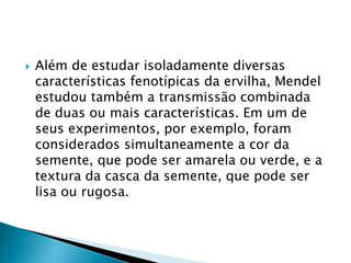  Além de estudar isoladamente diversas 
características fenotípicas da ervilha, Mendel 
estudou também a transmissão combinada 
de duas ou mais características. Em um de 
seus experimentos, por exemplo, foram 
considerados simultaneamente a cor da 
semente, que pode ser amarela ou verde, e a 
textura da casca da semente, que pode ser 
lisa ou rugosa. 
 