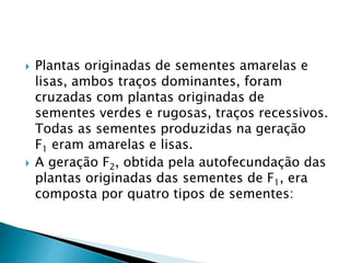  Plantas originadas de sementes amarelas e 
lisas, ambos traços dominantes, foram 
cruzadas com plantas originadas de 
sementes verdes e rugosas, traços recessivos. 
Todas as sementes produzidas na geração 
F1 eram amarelas e lisas. 
 A geração F2, obtida pela autofecundação das 
plantas originadas das sementes de F1, era 
composta por quatro tipos de sementes: 
 