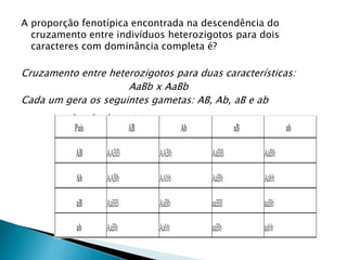 A proporção fenotípica encontrada na descendência do 
cruzamento entre indivíduos heterozigotos para dois 
caracteres com dominância completa é? 
Cruzamento entre heterozigotos para duas características: 
AaBb x AaBb 
Cada um gera os seguintes gametas: AB, Ab, aB e ab 
 