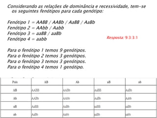 Considerando as relações de dominância e recessividade, tem-se 
os seguintes fenótipos para cada genótipo: 
Fenótipo 1 = AABB / AABb / AaBB / AaBb 
Fenótipo 2 = AAbb / Aabb 
Fenótipo 3 = aaBB / aaBb 
Fenótipo 4 = aabb 
Para o fenótipo 1 temos 9 genótipos. 
Para o fenótipo 2 temos 3 genótipos. 
Para o fenótipo 3 temos 3 genótipos. 
Para o fenótipo 4 temos 1 genótipo. 
Resposta: 9:3:3:1 
 